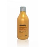 absolut-repair-shampoo-300ml-alta11-fe1571d9759622752916132235345563-1024-1024.jpg